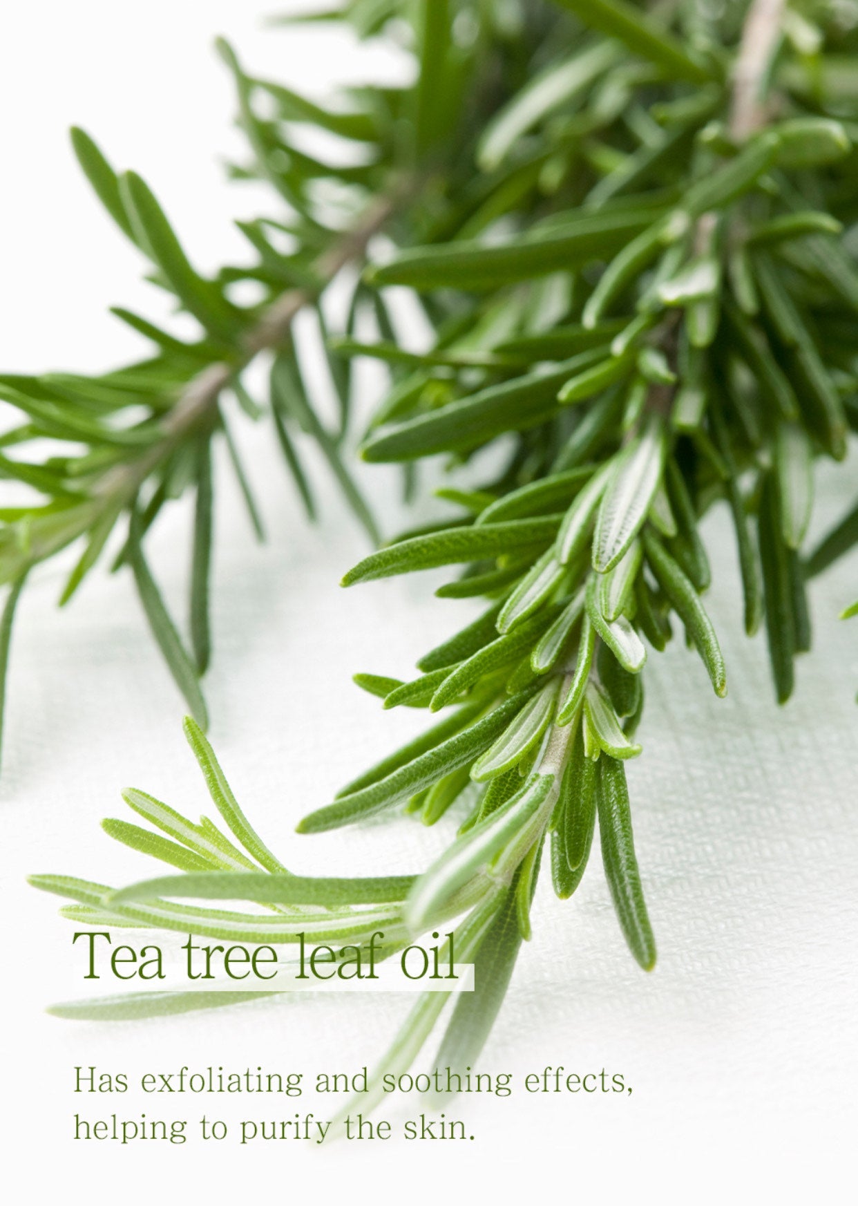 Design Your Beauty Nipple Patch