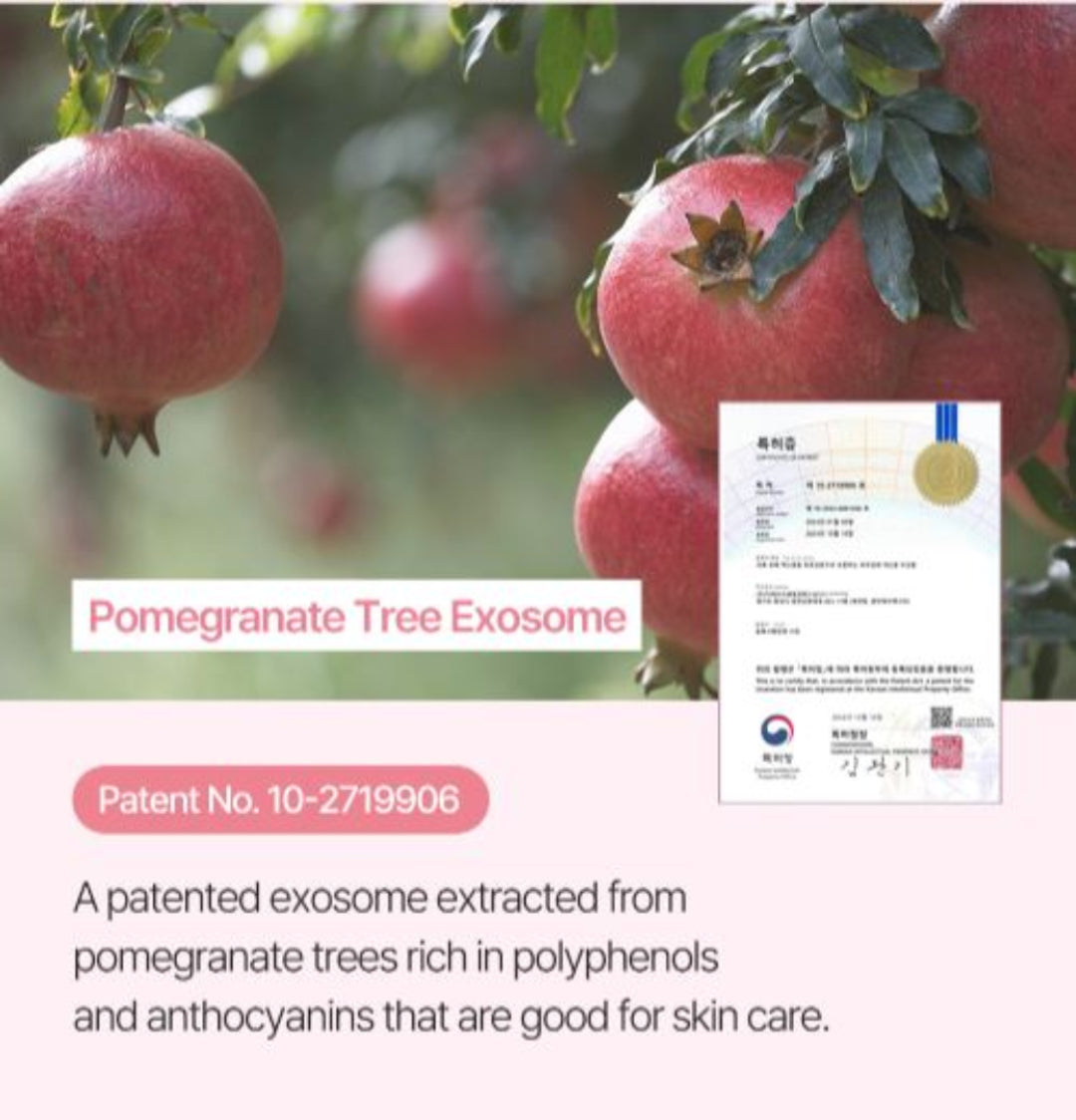 PDRN TX1 Perfect Fit Cream