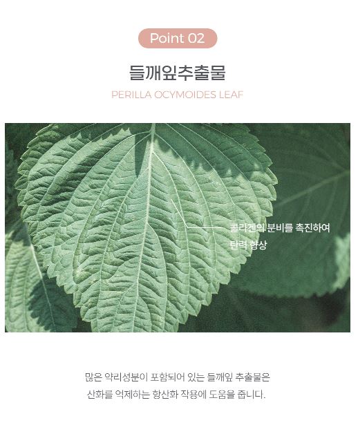 Design Your Beauty Y Zone Patch