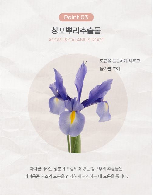 Design Your Beauty Y Zone Patch